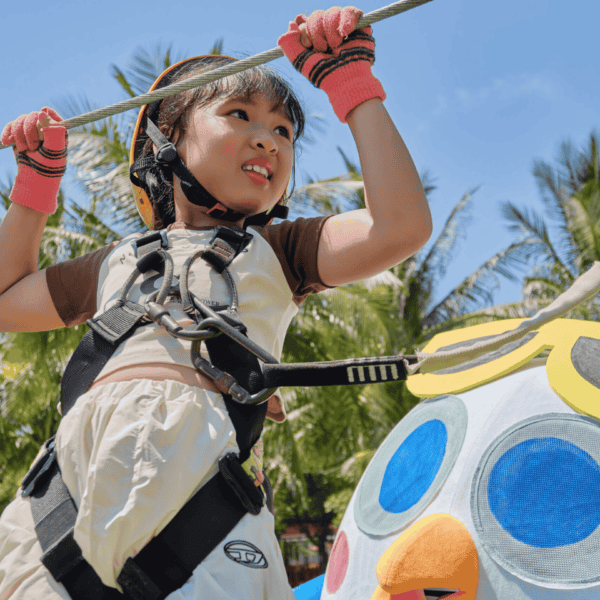 Day Pass With Rope Park