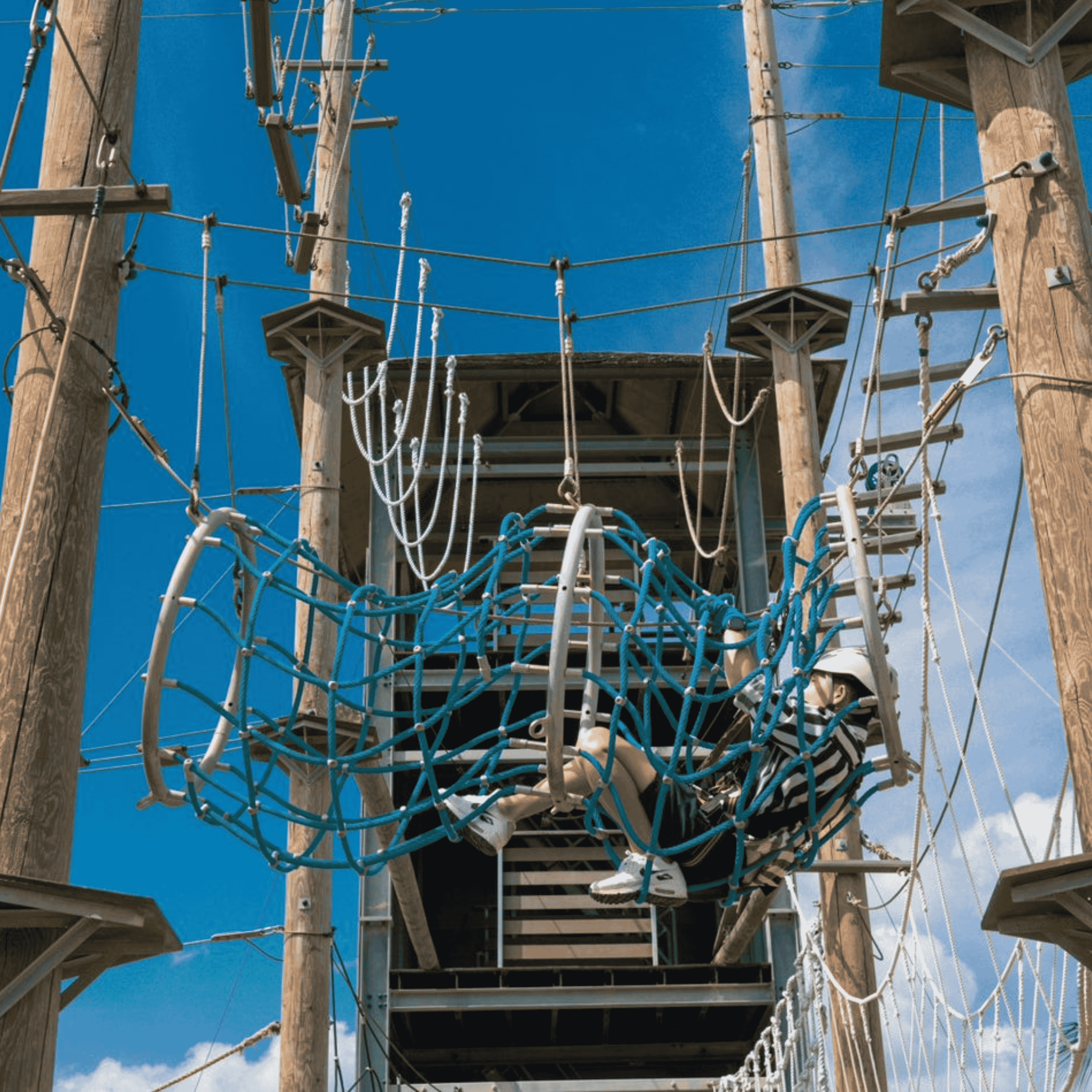 로프 파크가 포함된 일일 패스 - 이미지 2