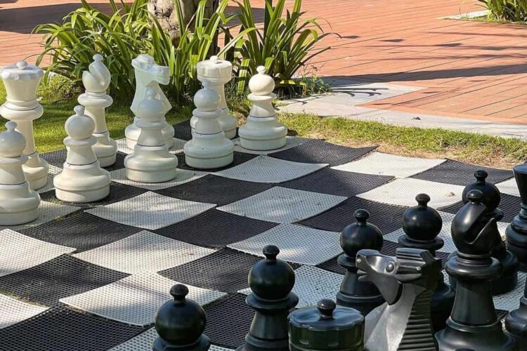 TRò Chơi Trí Tuệ / Ngân Khúc Dưới Mưa