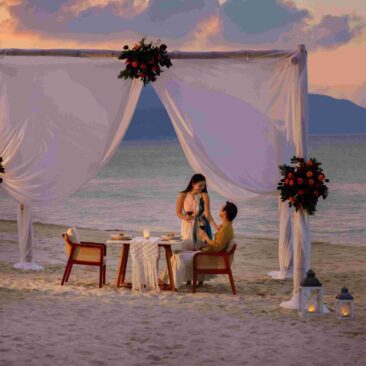 Moevenick Cam Ranh header Moevenick Cam Ranh header