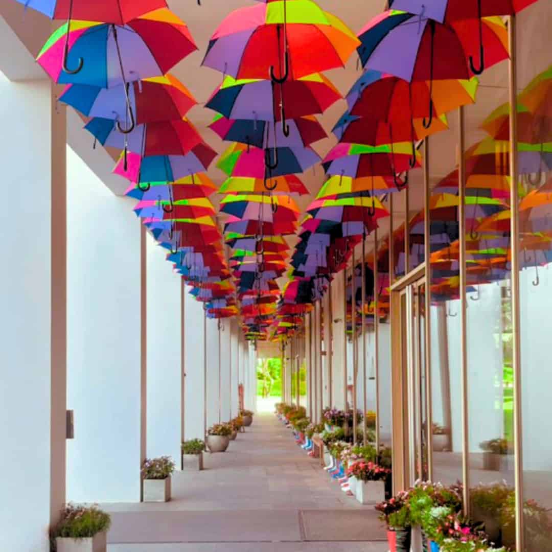 singin in the rain Ngân Khúc Dưới Mưa 2025