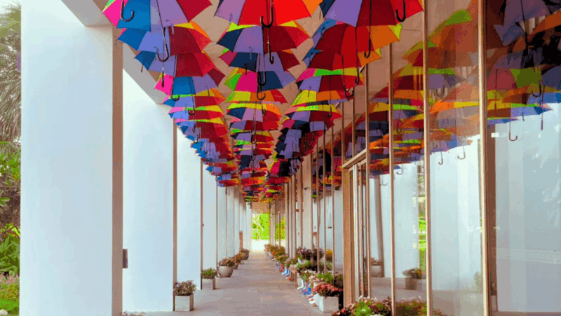 Singin' In The Rain 3 (1)