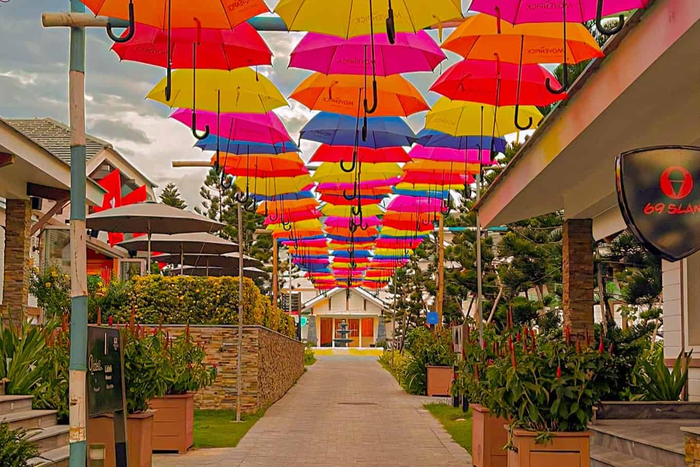 Singin' In The Rain 9 (1)