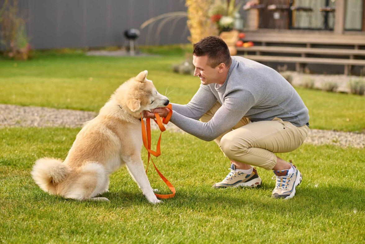 Khu Vực Pet-Friendly Trong Resort